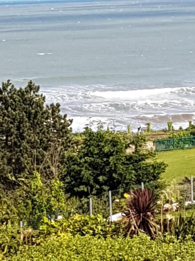 Norwegian Wood Hotell Paignton Eksteriør bilde