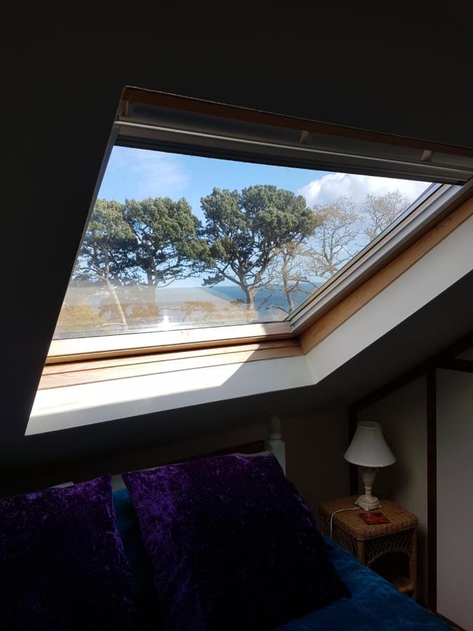 Norwegian Wood Hotell Paignton Eksteriør bilde
