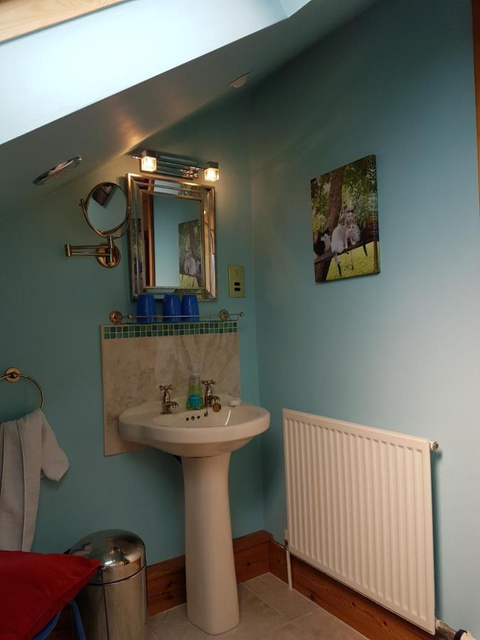 Norwegian Wood Hotell Paignton Eksteriør bilde