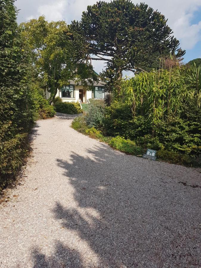 Norwegian Wood Hotell Paignton Eksteriør bilde