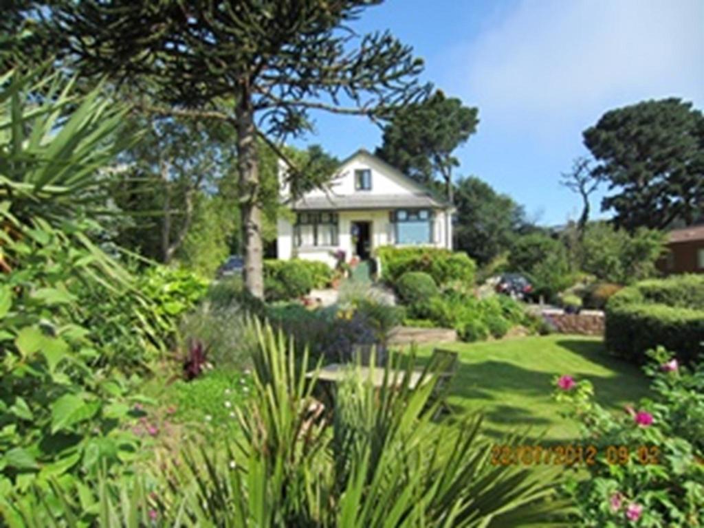 Norwegian Wood Hotell Paignton Rom bilde